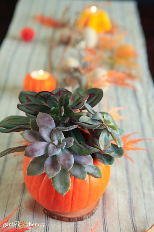 Succulent pumpkin Table setting