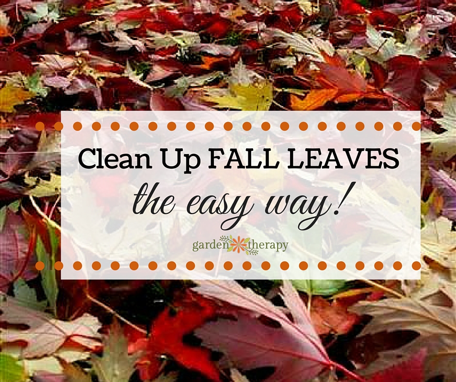 The EASY way to clean up fall leaves from your yard and ...