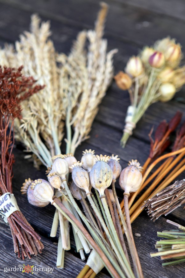 Dried poppy and other seed heads tied into bundles