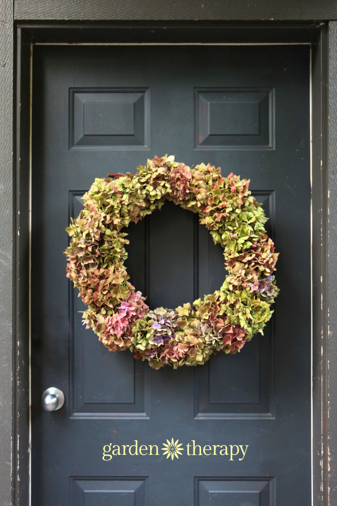 DIY dried hydrangea wreath hanging on a black door