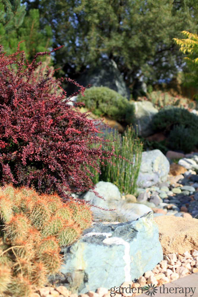 water wise landscape design ideas