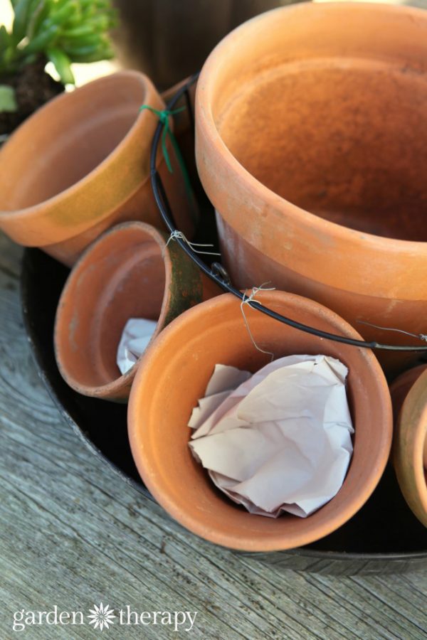 Make This Stunning Terra Cotta Pot Succulent Centerpiece