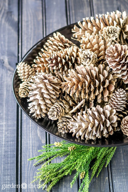 How to Make GORGEOUS Bleached Pinecones