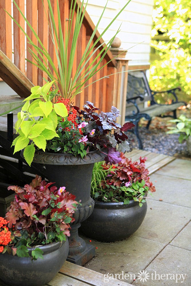 Plants and container design to brighten up the shade. These plants are bursting with color and well-suited to shady conditions. 