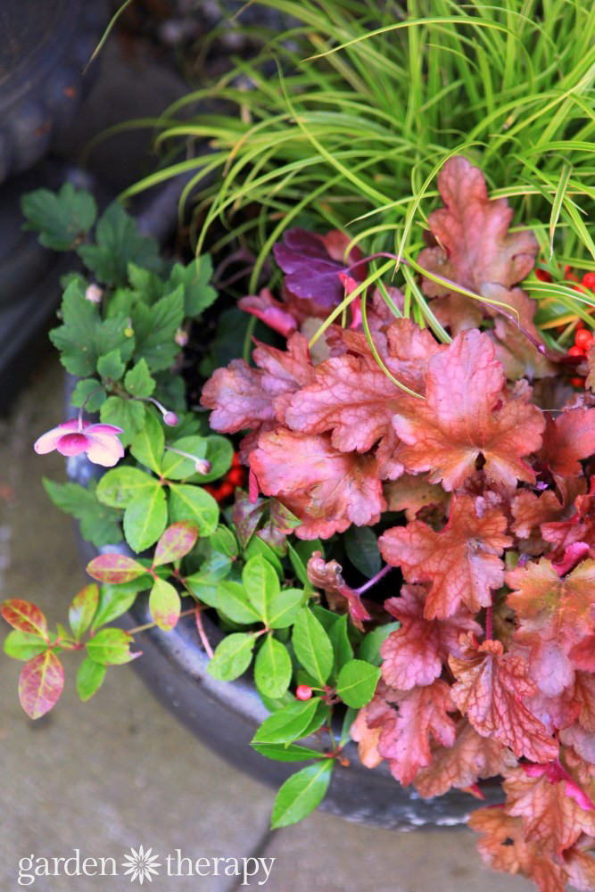 Colorful Fall Containers Made for the Shade 