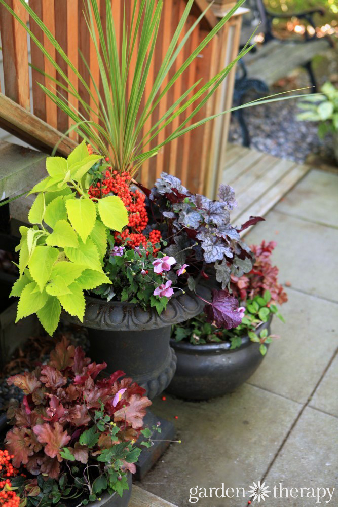 Made For The Shade Low Maintenance Fall Planters Bursting With Colour