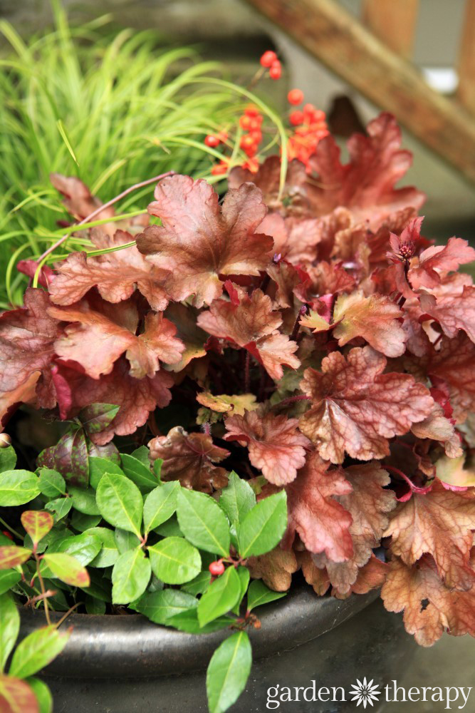 Plants and container design to brighten up the shade. These plants are bursting with color and well-suited to shady conditions. 