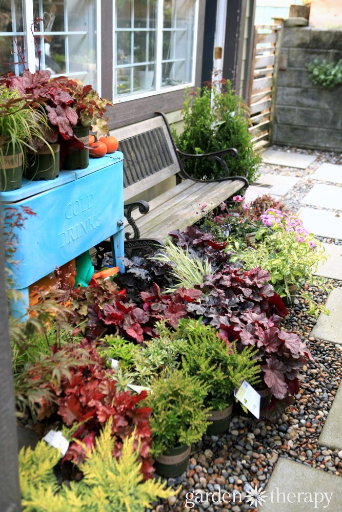 Plants and container design to brighten up the shade. These plants are bursting with color and well-suited to shady conditions. 