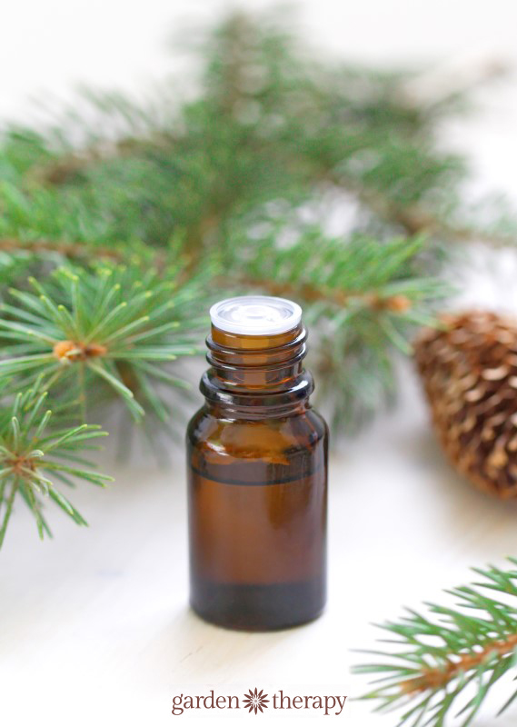 essential oil blend to scent pinecones