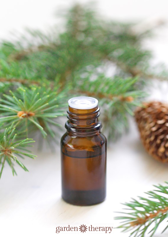 Homemade Scented Pinecones and a Pretty DIY Diffuser