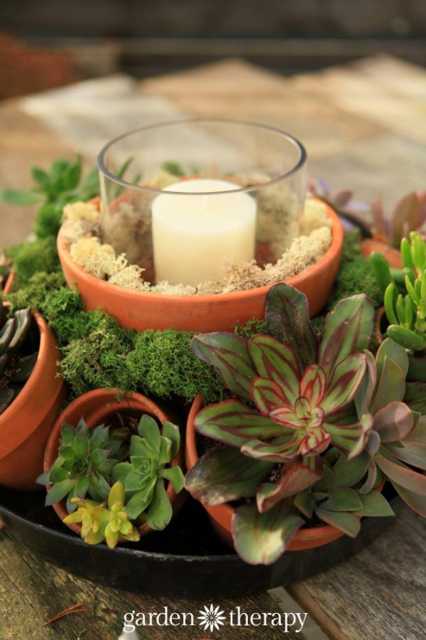 Make This Stunning Terra Cotta Pot Succulent Centerpiece