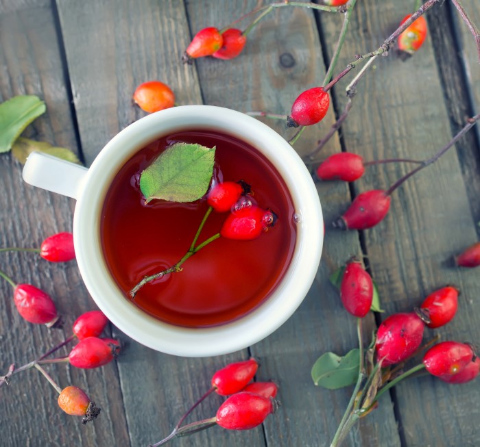 cup of fresh rose hip tea