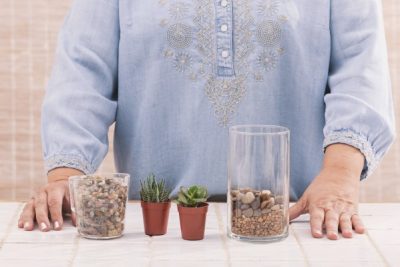 Create a Gorgeous Soilless Terrarium Garden