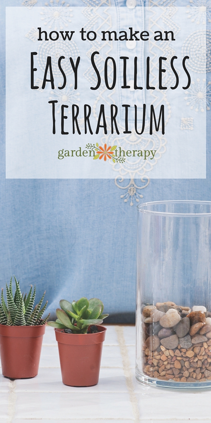 How to make an easy soiless terrarium garden