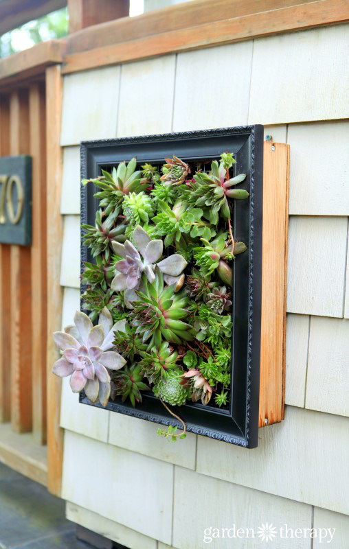 Living Outdoor Art a framed succulent planter from the book Garden Made