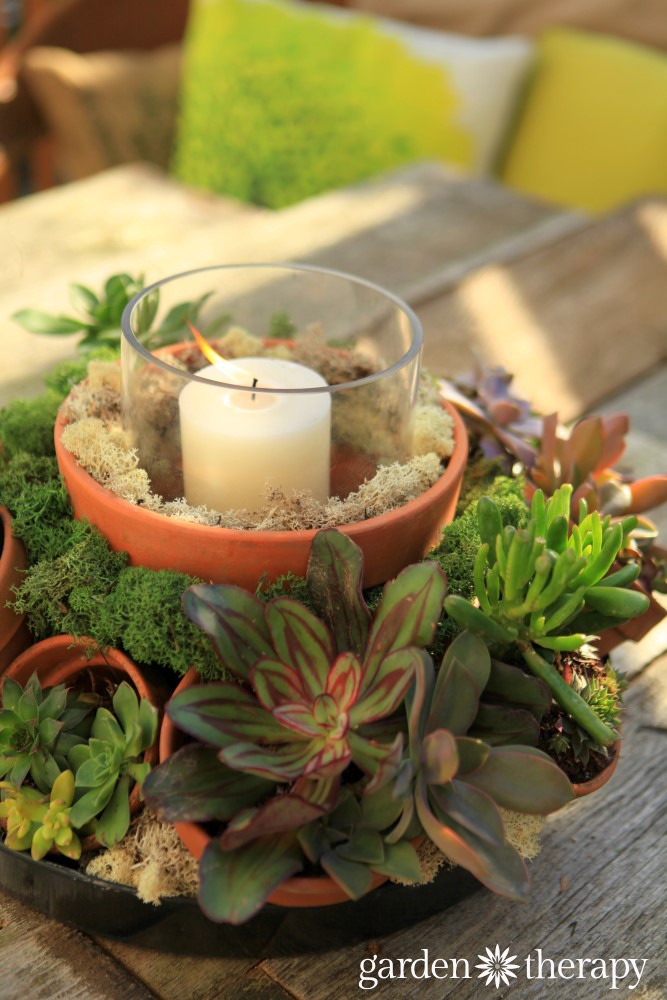 a centerpiece made with succulents and old flowerpots