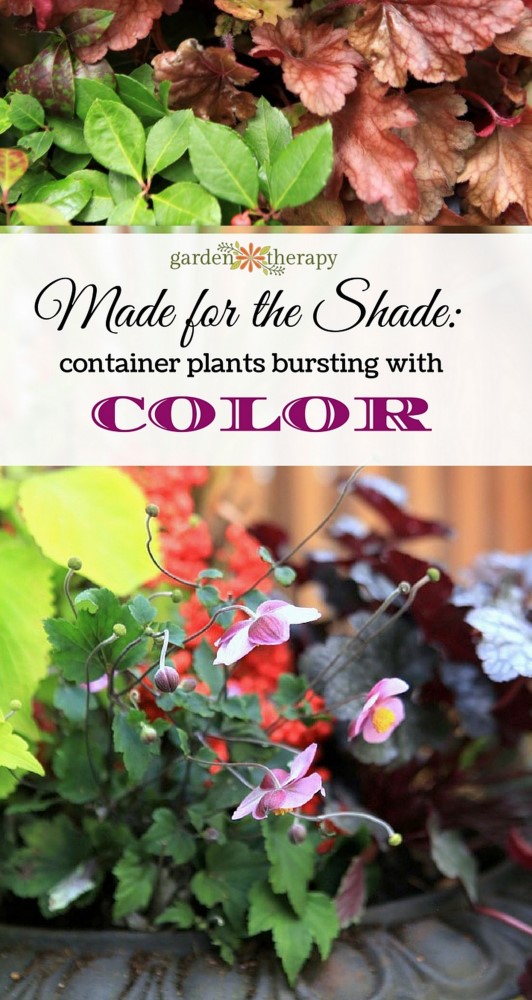 Perennials for shade that don't skimp on wow factor