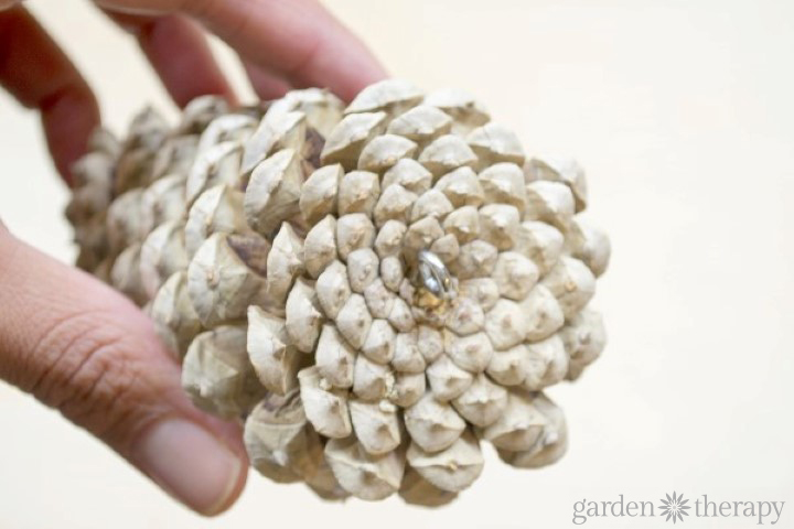 Pinecone swag - Add Eye Hook