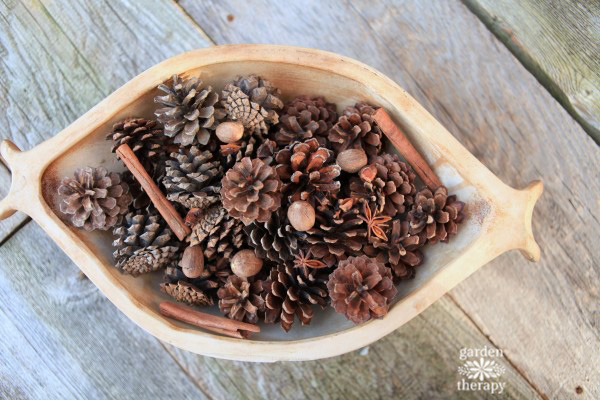 Scented pine cone and natural festive spices as a centerpiece