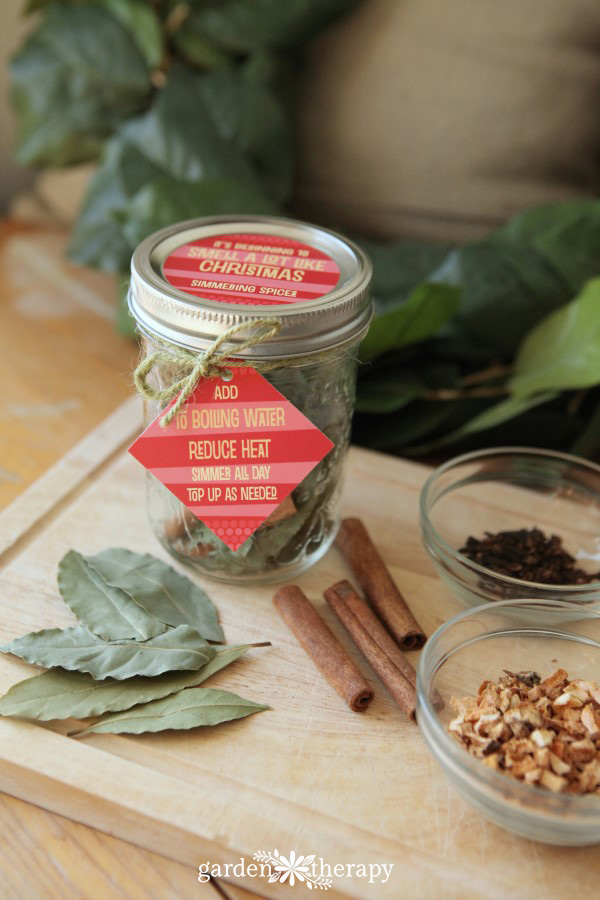 Simple Simmering Stovetop Potpourri- smells like Christmas! - A Life  Unfolding