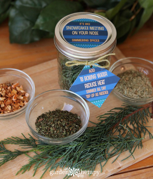 Stovetop Potpourri (Holiday and Fall Spice Blend) - Savory Simple