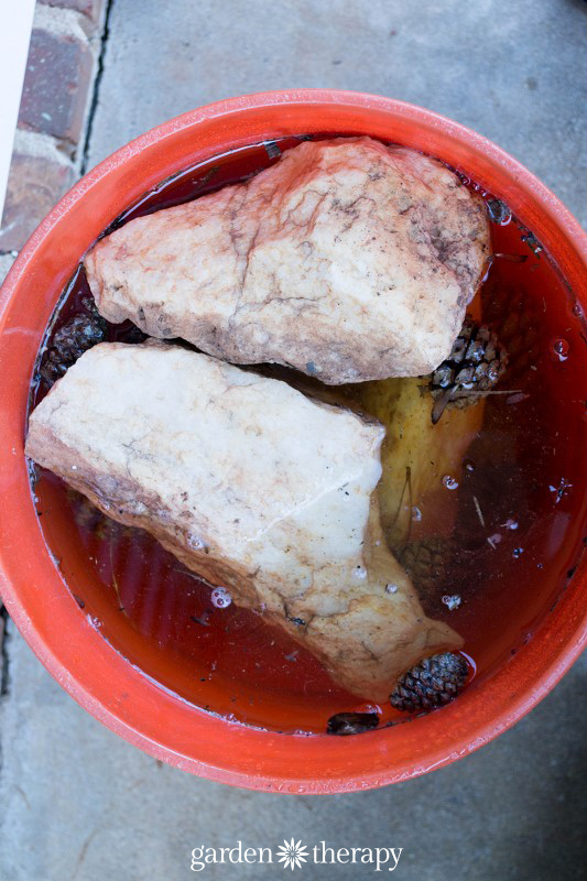 Soak Pinecones in Bleach Water