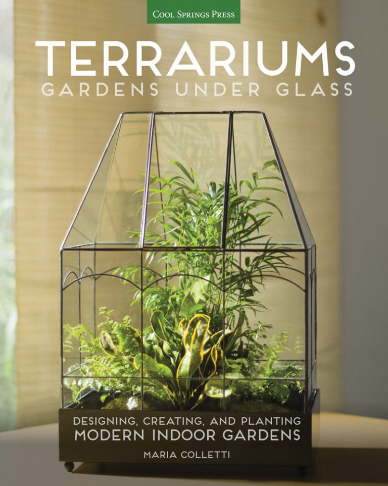 Create a Gorgeous Soilless Terrarium Garden