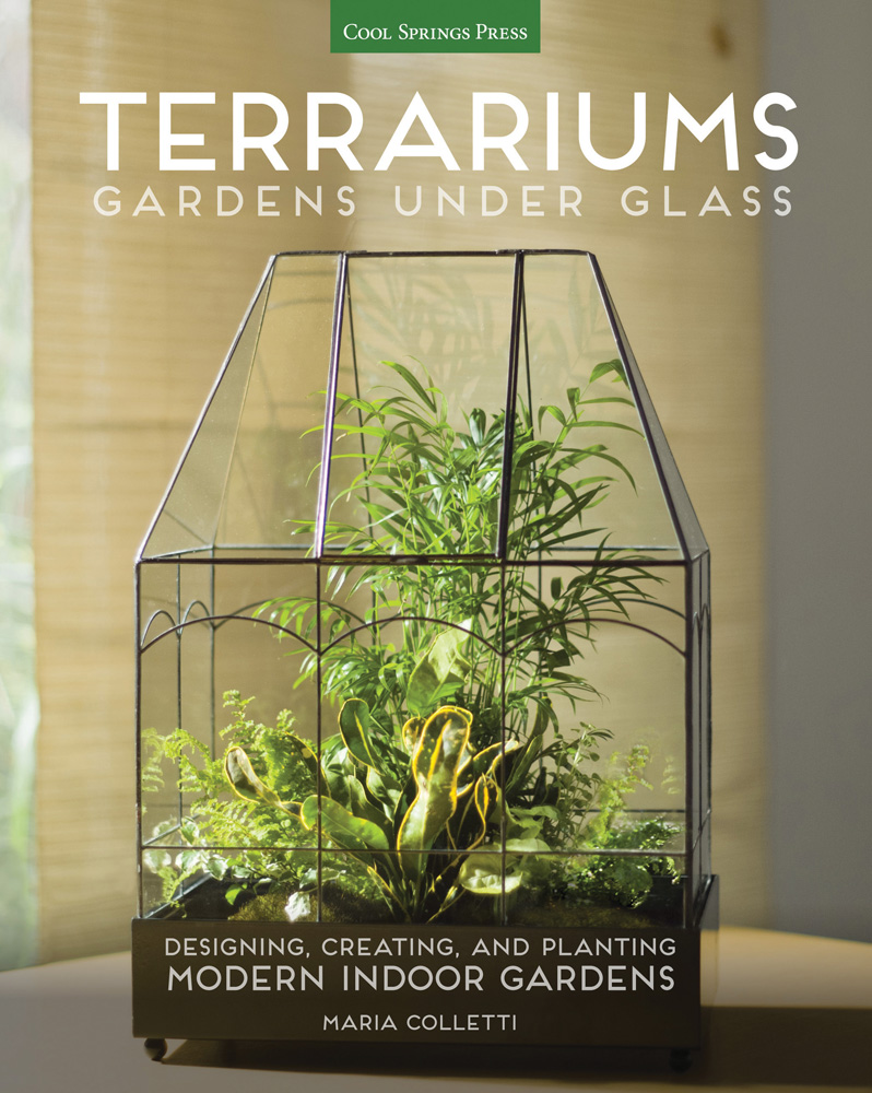 Terrariums Gardens Under Glass