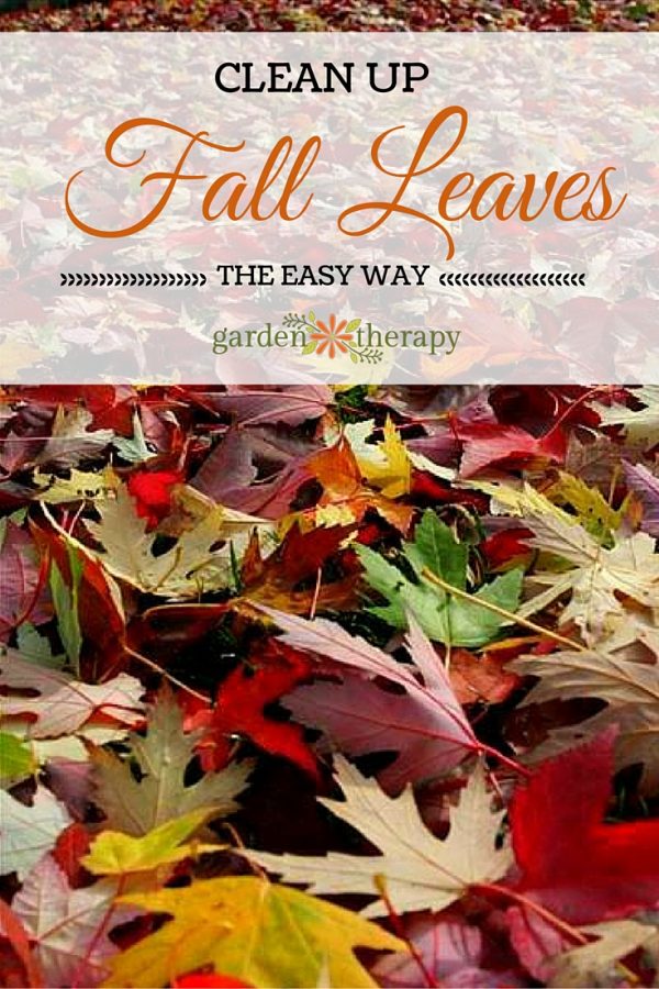 Fall Garden Care The Easy Way to Clean Up Leaves