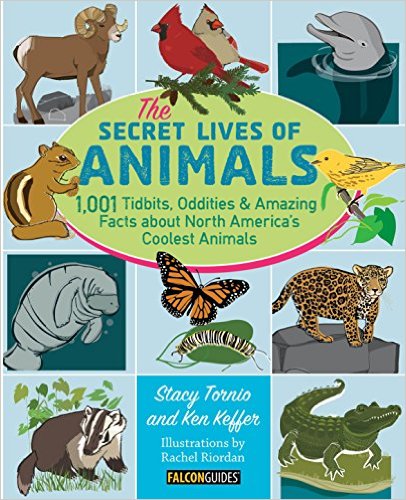 The Secret Lives of Animals Book