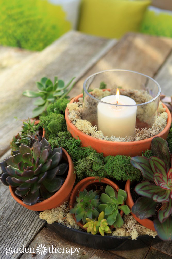 diy centerpiece with succulents and a candle