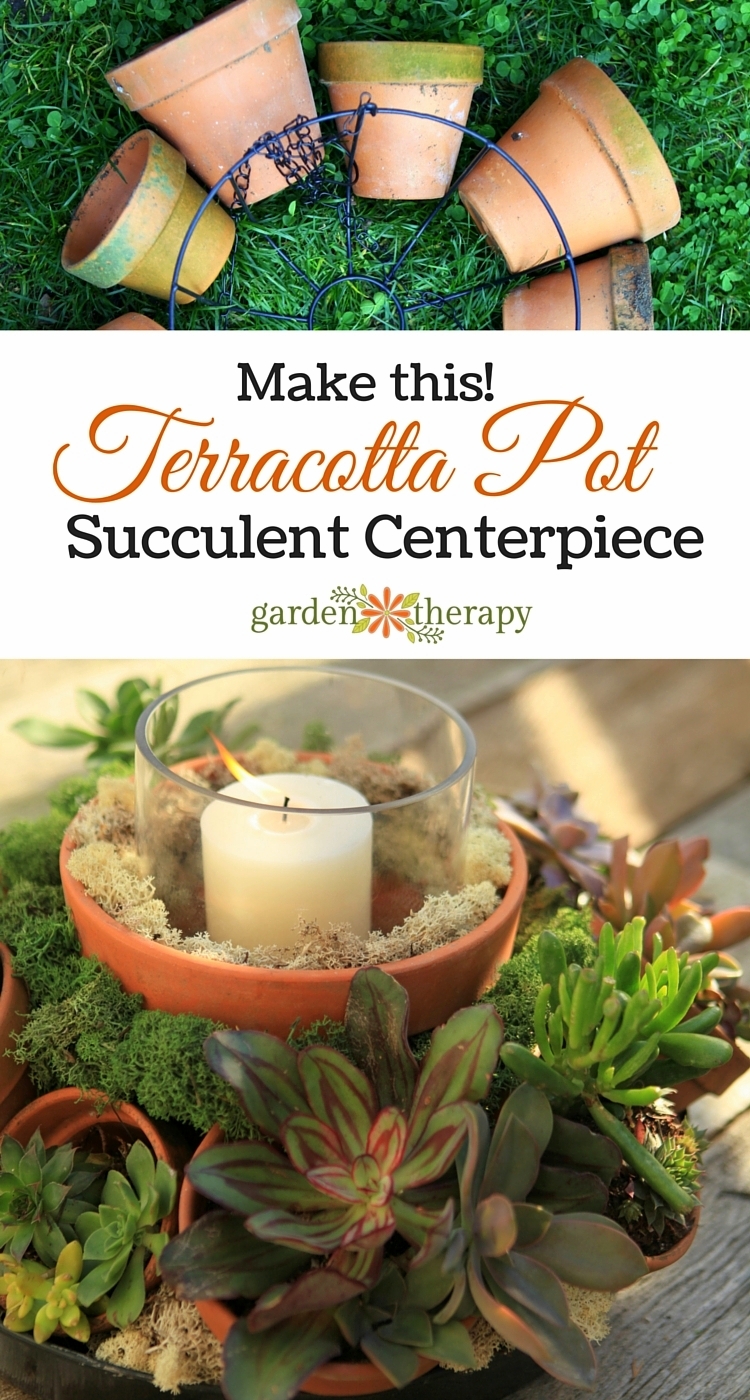 terracotta pot succulent centerpiece