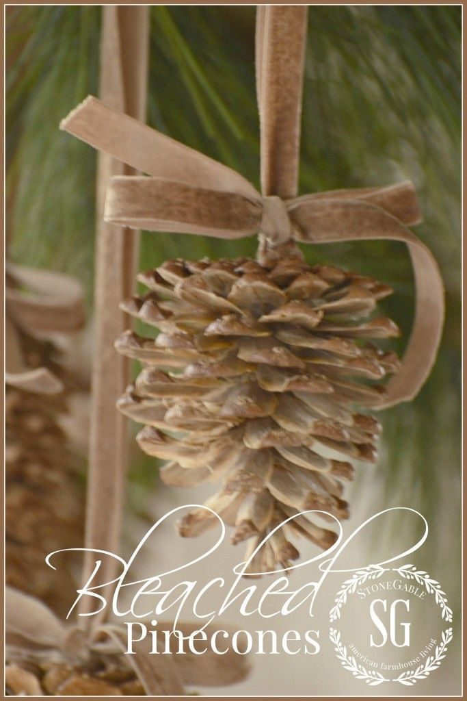 Bleached Pinecone Ornaments from Stone Gable