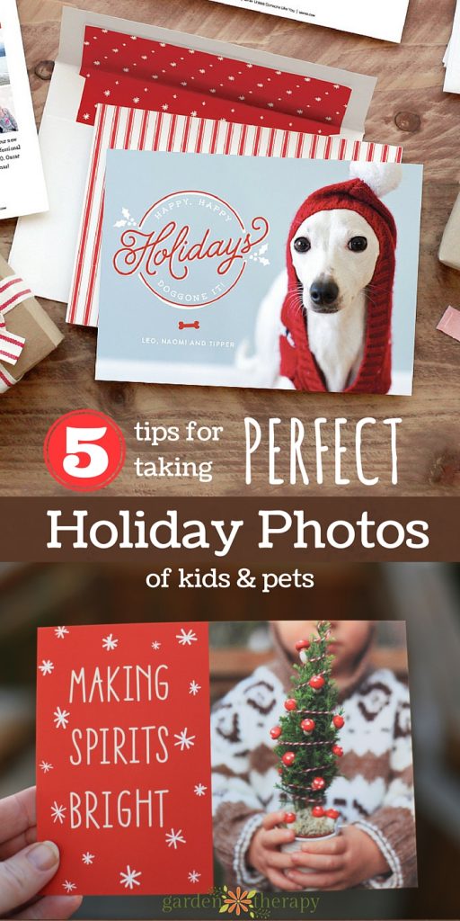 Five tips for taking great photos for Holiday Cards