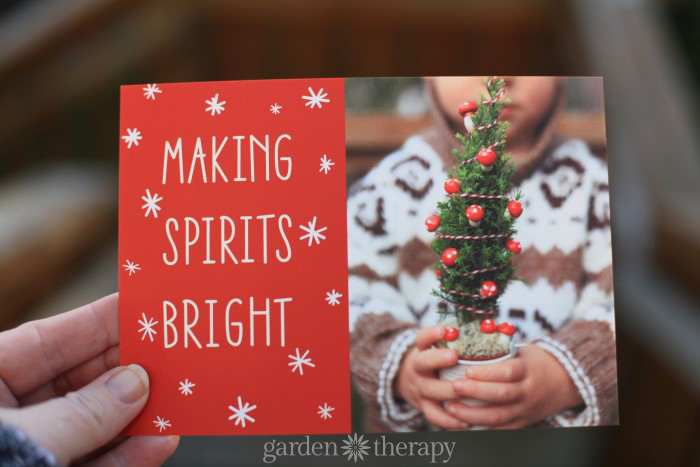 Garden Therapy Holiday Cards