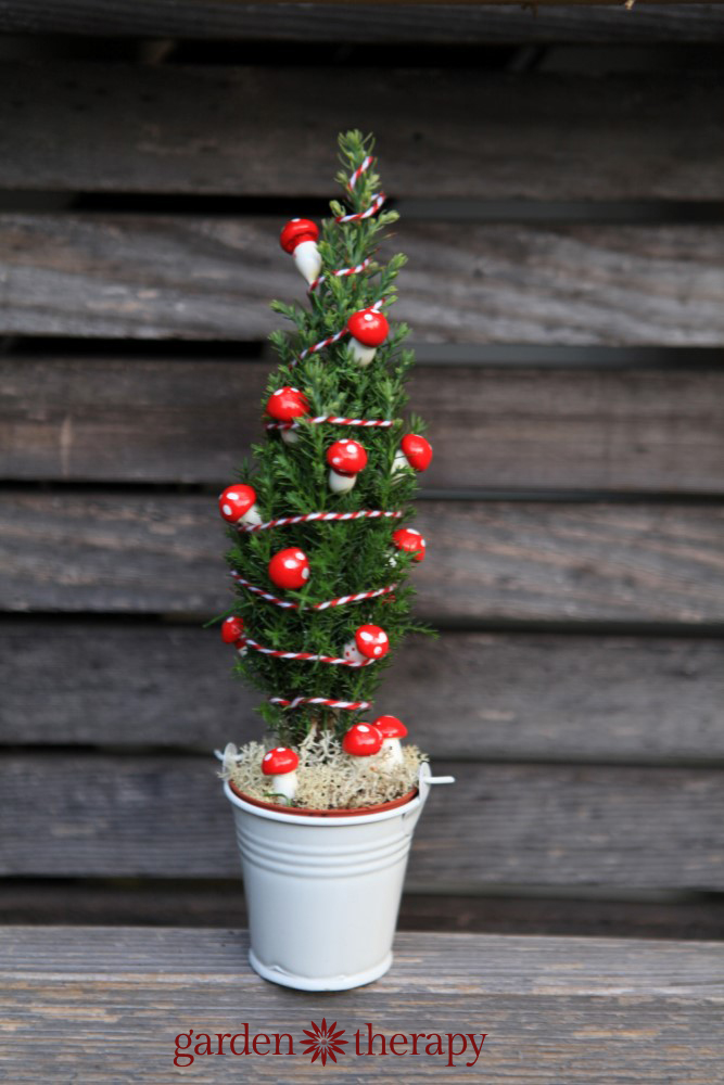 Miniature Mushroom Christmas Tree