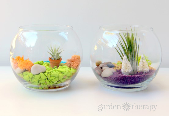 Tint Terrarium Projects