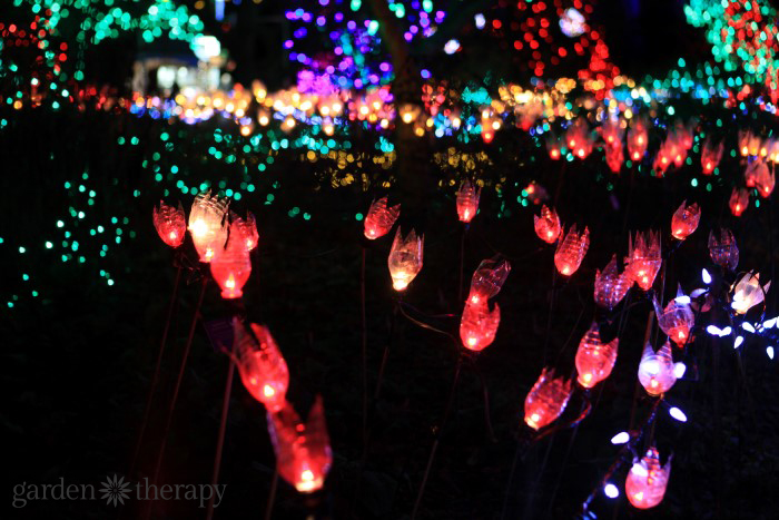 DIY Tulip Garden Lights (2)