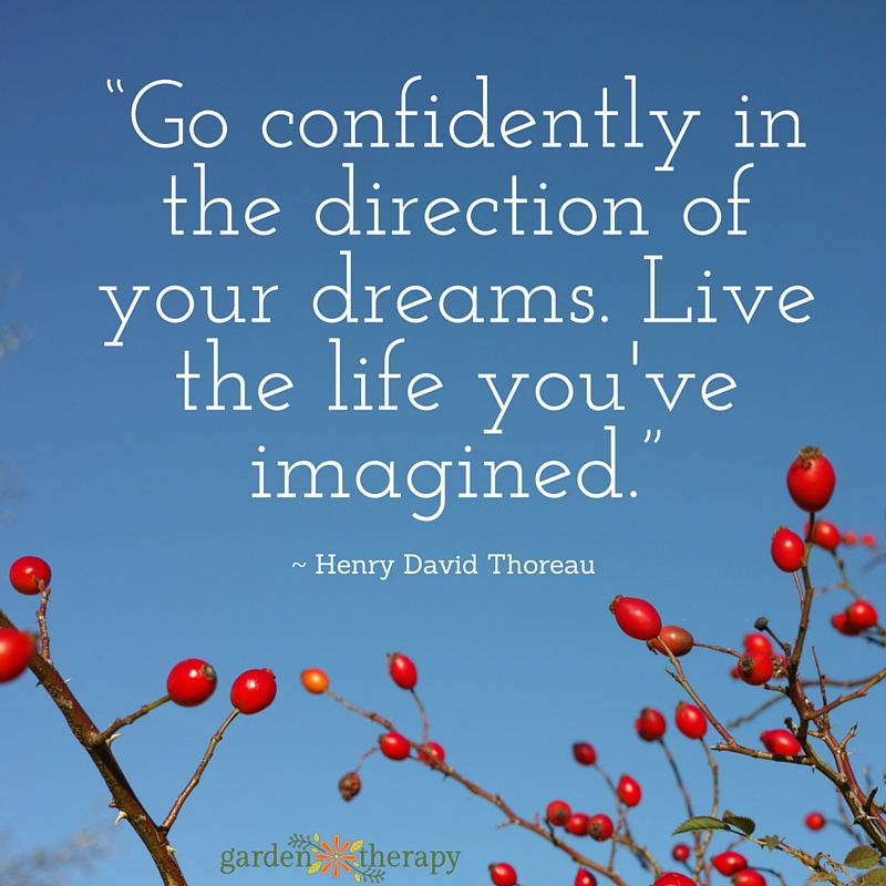 Go confidently in the direction of your dreams. Live the life you've imagined