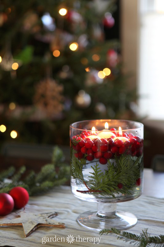 floating candle with berries in front of Christmas tree as a rustic Christmas decoration