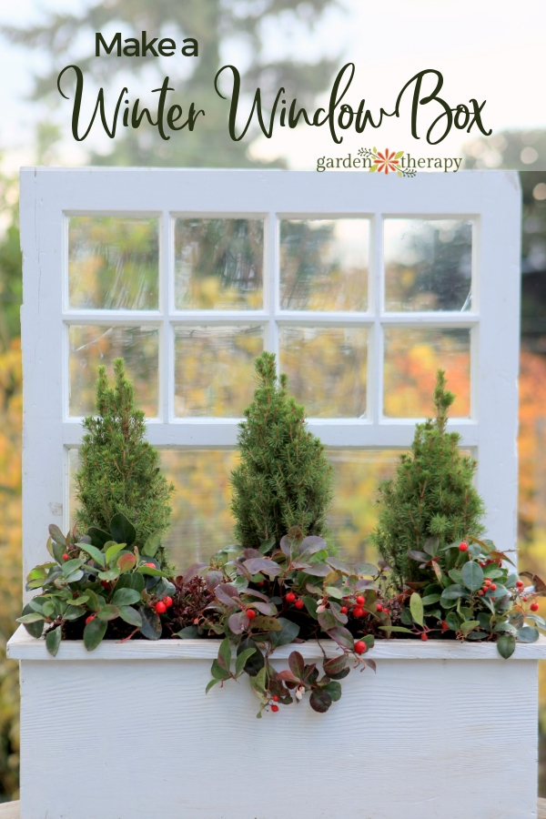 Make a Winter Window Box