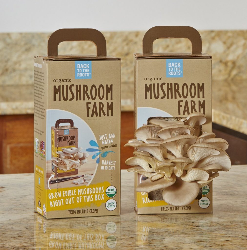 Mushroom Kits and more creative gift ideas