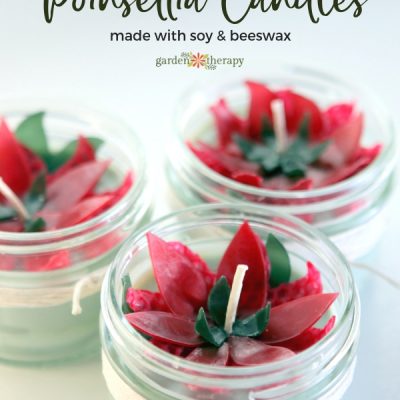 Poinsettia Candles made with soy wax and beeswax