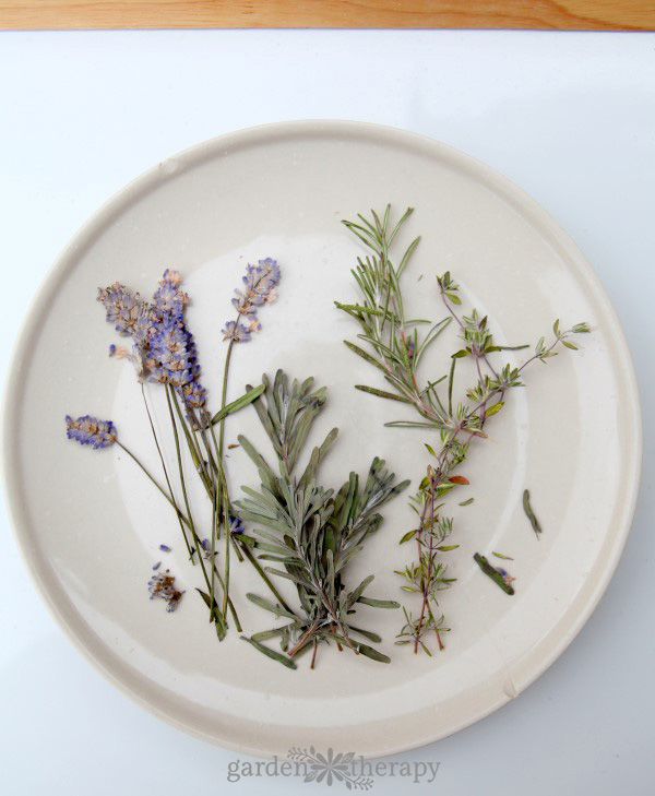 Pressed herbs on a white plate