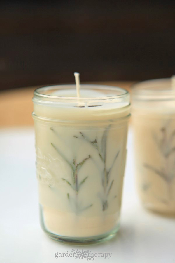 Evergreen Pressed Rosemary Candles {How to Make Herbal Candles}