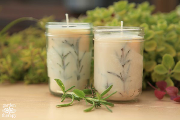 Rosemary Mason Jar Candle Project