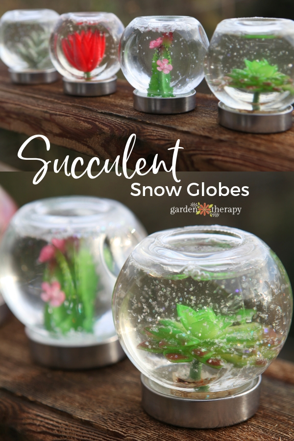 Succulent Snow Globes