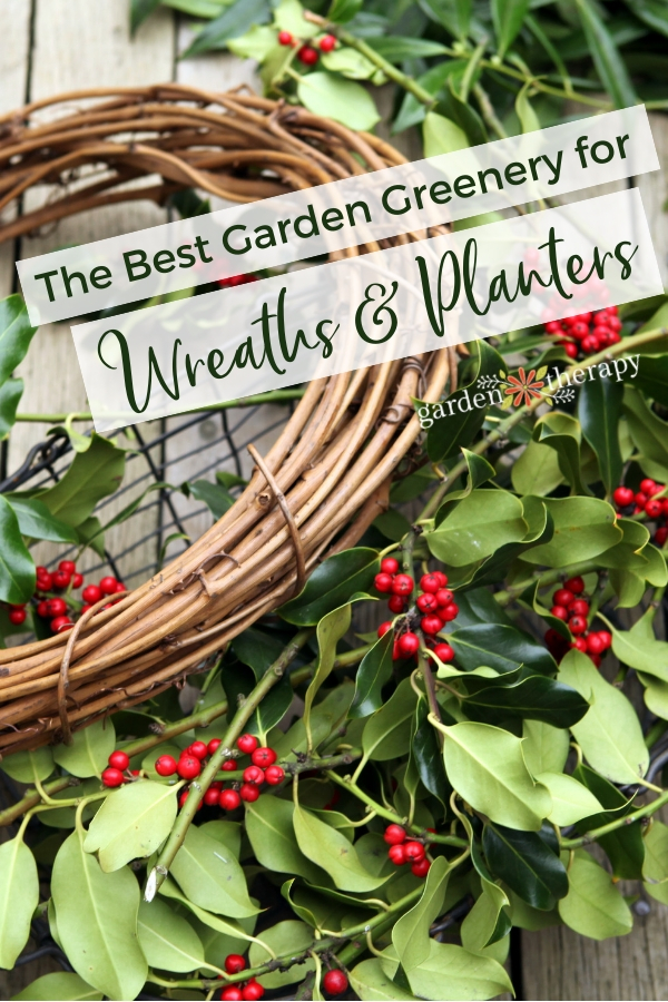 The Best Garden greenery for Wreaths and Planters