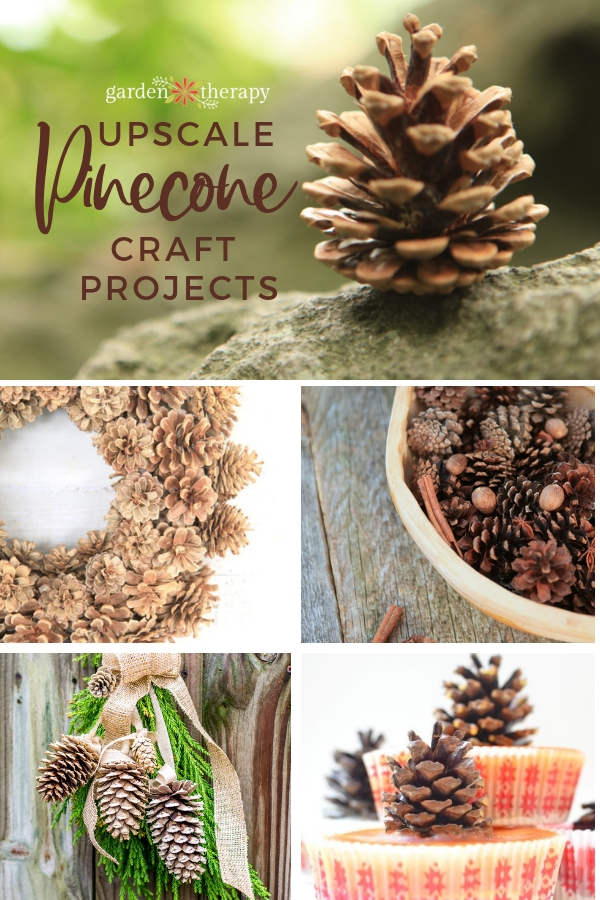 Pine crafts deals