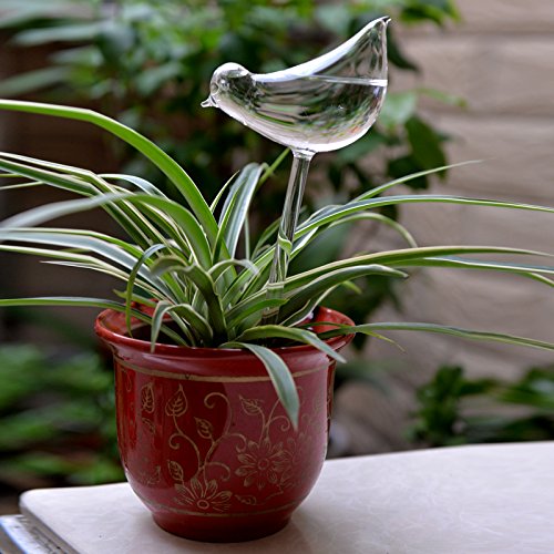 glass bird self-watering bulbs and more creative gift ideas